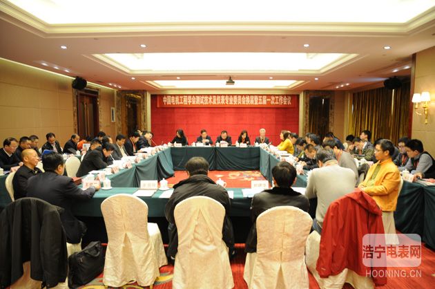 中國電機(jī)工程學(xué)會(huì)測試技術(shù)及儀表專業(yè)委員會(huì)換屆暨五屆一次工作會(huì)議在長沙順利召開